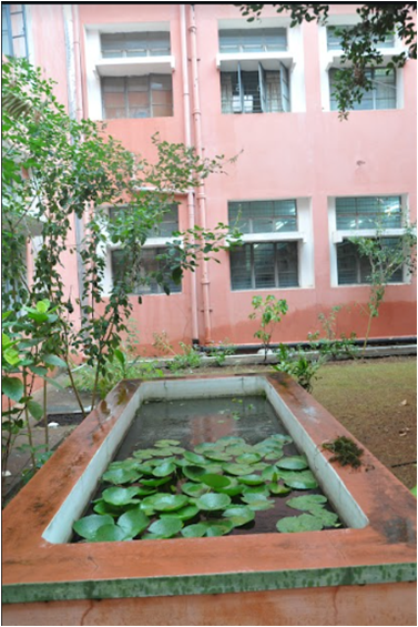 course_img6